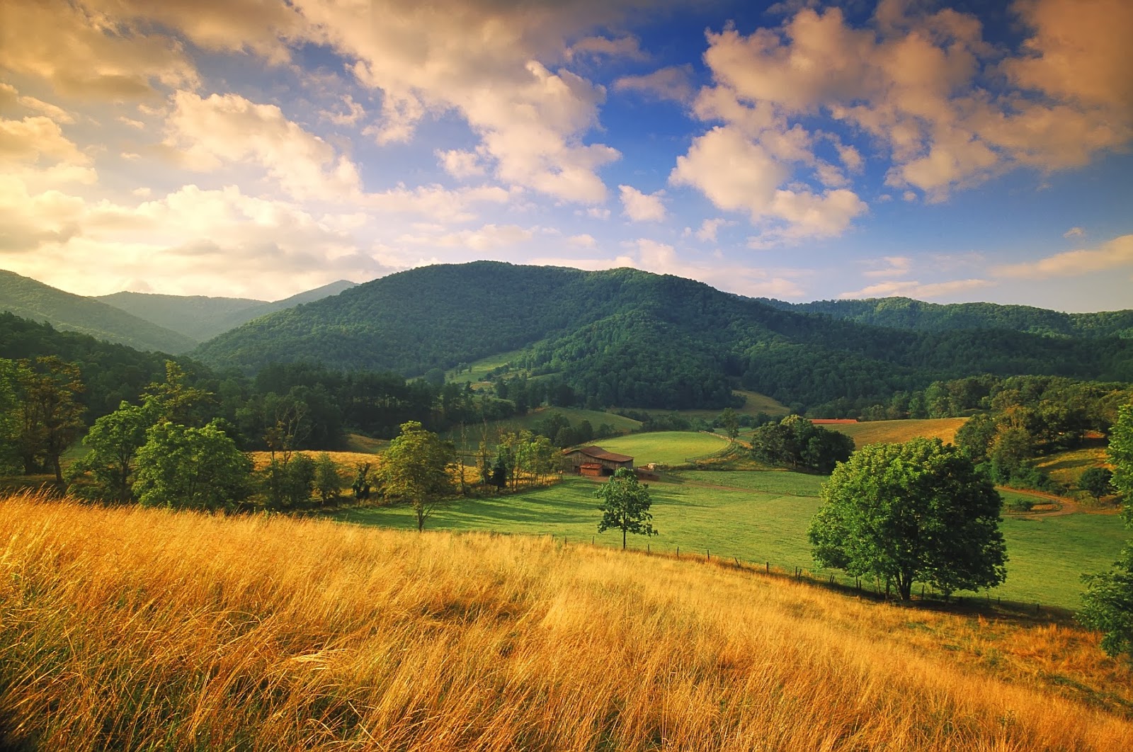 Autumn colour banding across Blue Ridge ridgelines beyond Claxton Farm, North Carolina