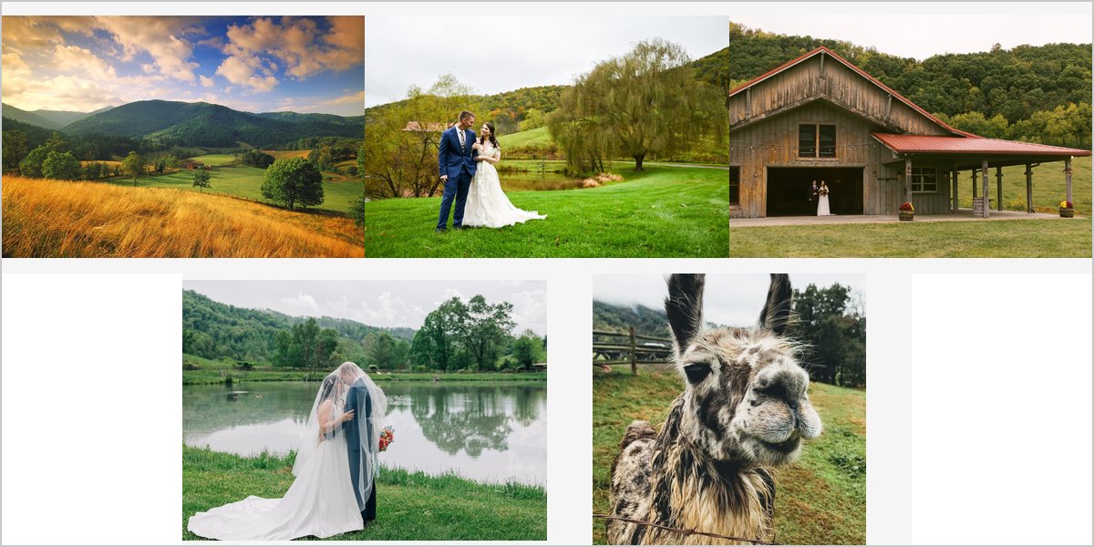 Claxton Farm: A Season-by-Season Photography Guide