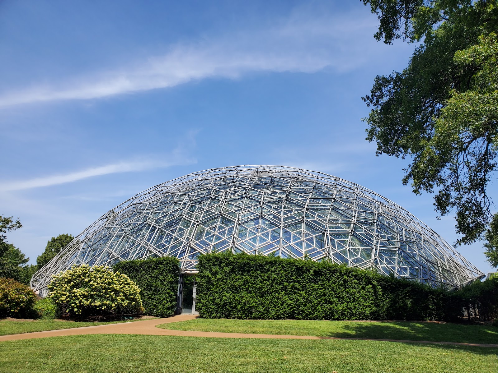 Soft diffused light inside the Climatron geodesic dome glasshouse at the Missouri Botanical Garden