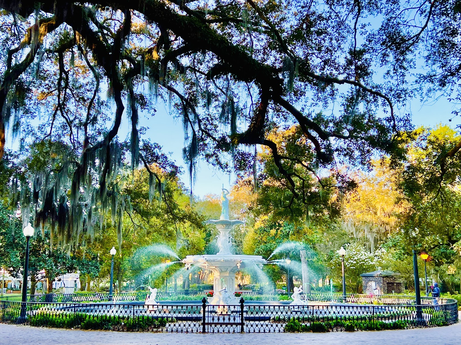 High open shade under live oaks around the Forsyth Park fountain, Savannah