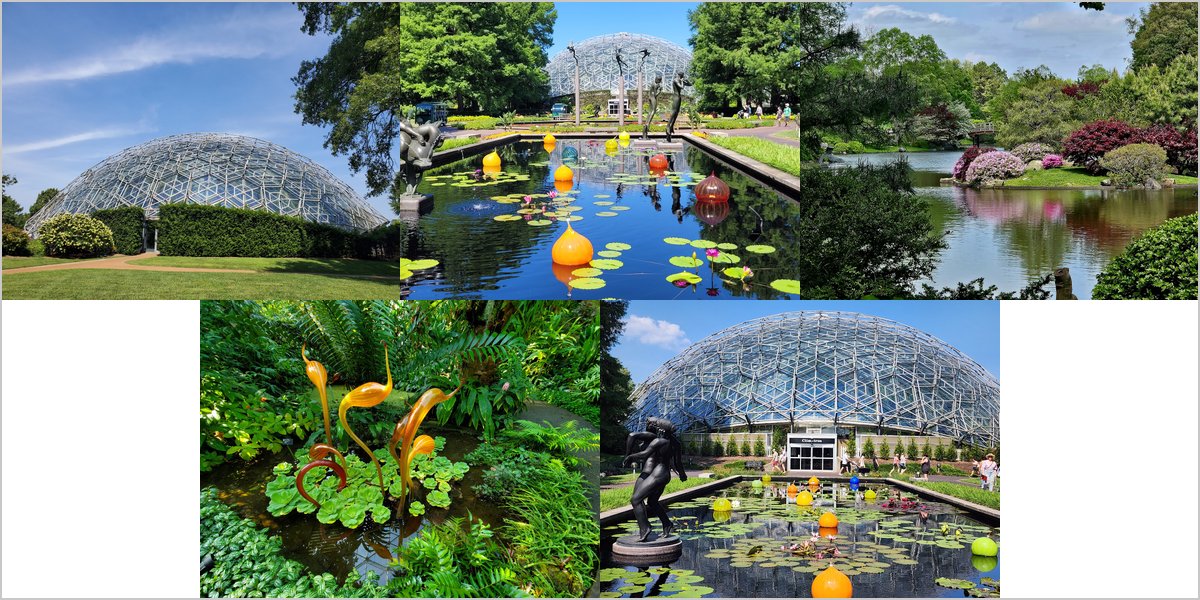 The Missouri Botanical Garden: Reading the Light Across 79 Acres