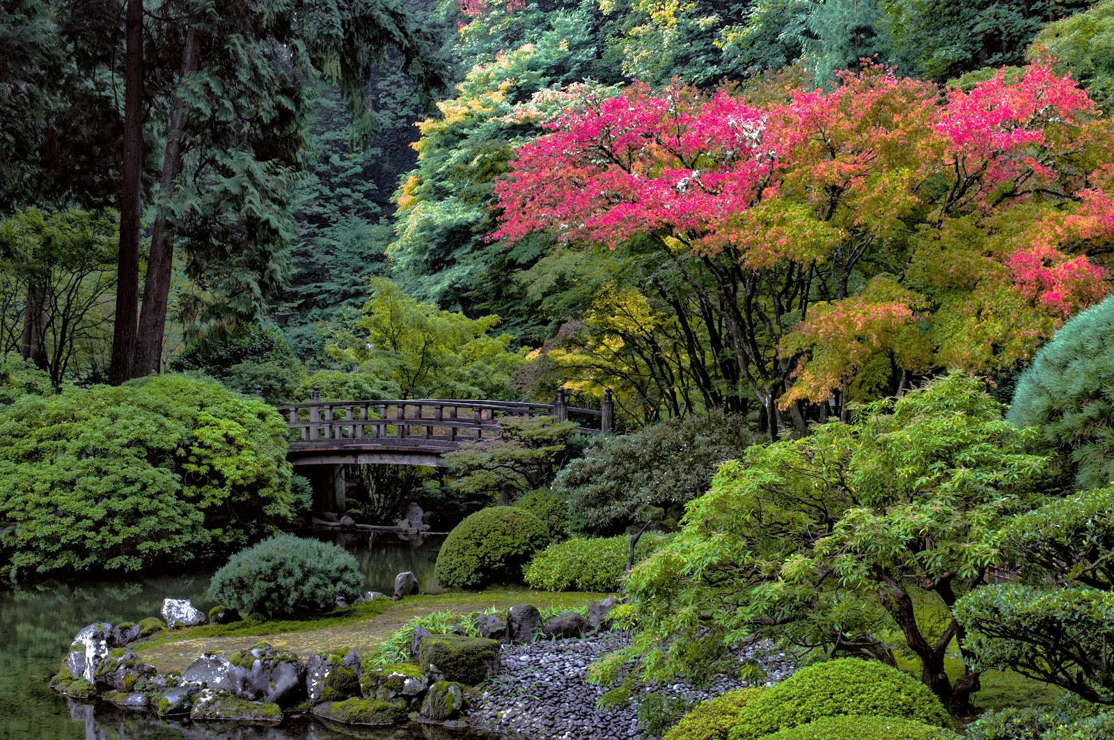 Timber bridge and gate at the Portland Japanese Garden giving a hard compositional edge for wedding photographs