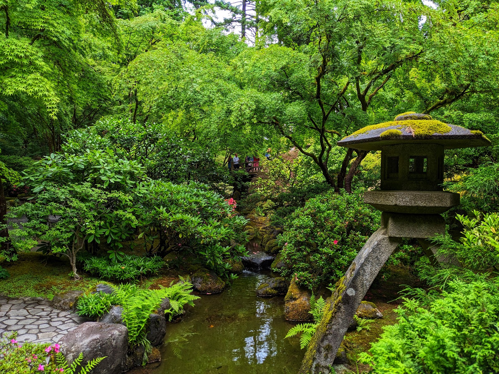 Falling water and dark foliage at the Portland Japanese Garden, used as a background for wedding portraits