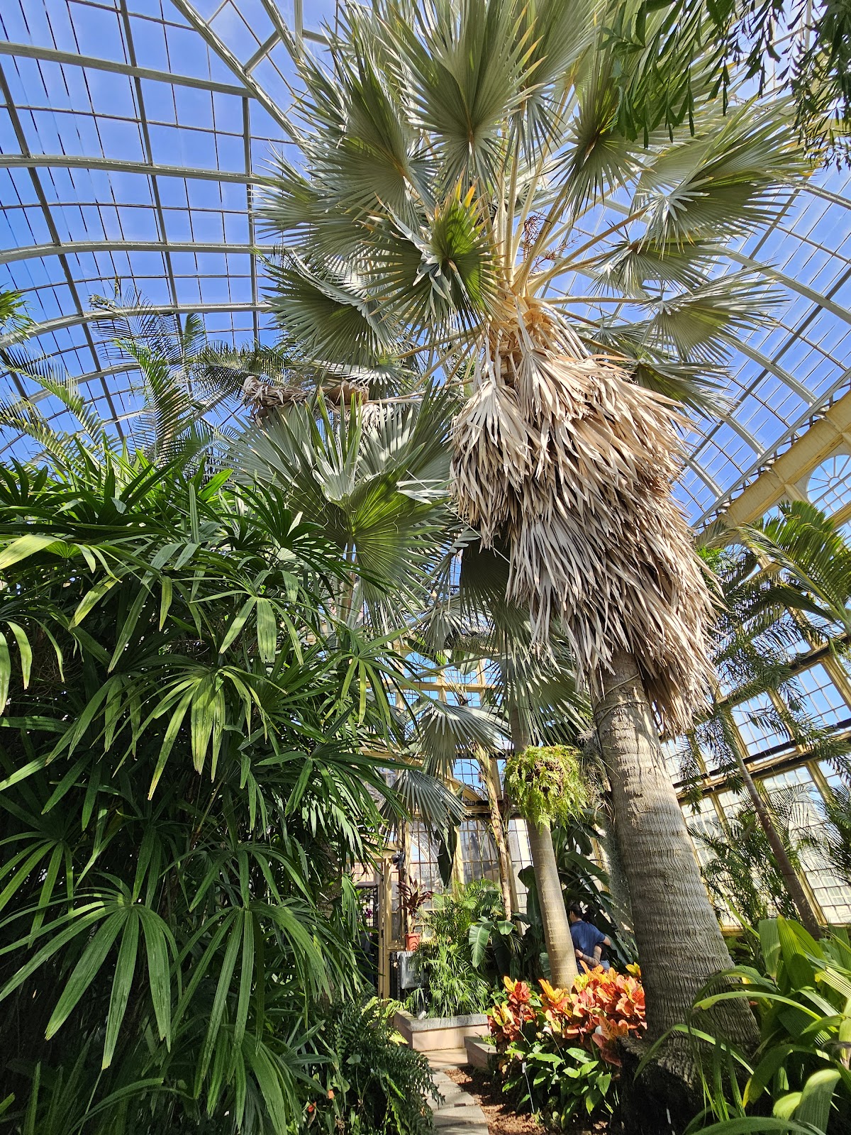 Desert collection house at the Rawlings Conservatory giving a different background from the tropical houses