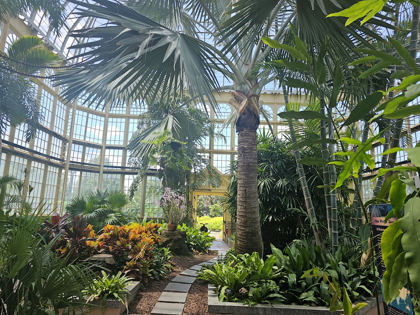 Narrow planted path inside a growing house at the Rawlings Conservatory, Baltimore Maryland