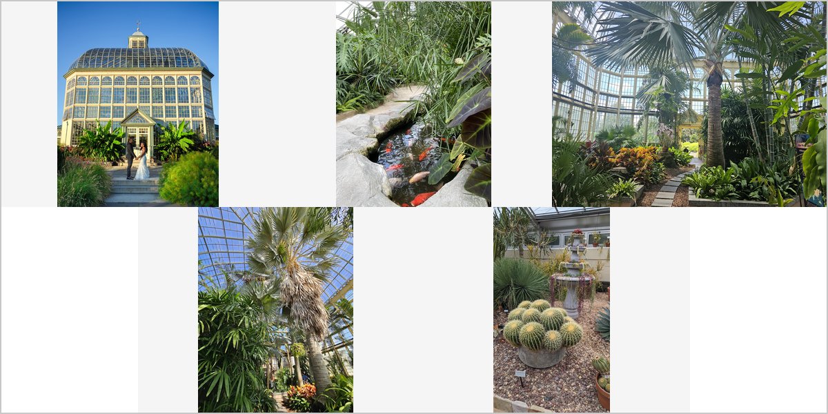 The Rawlings Conservatory: A Walk-Through of Glass Houses