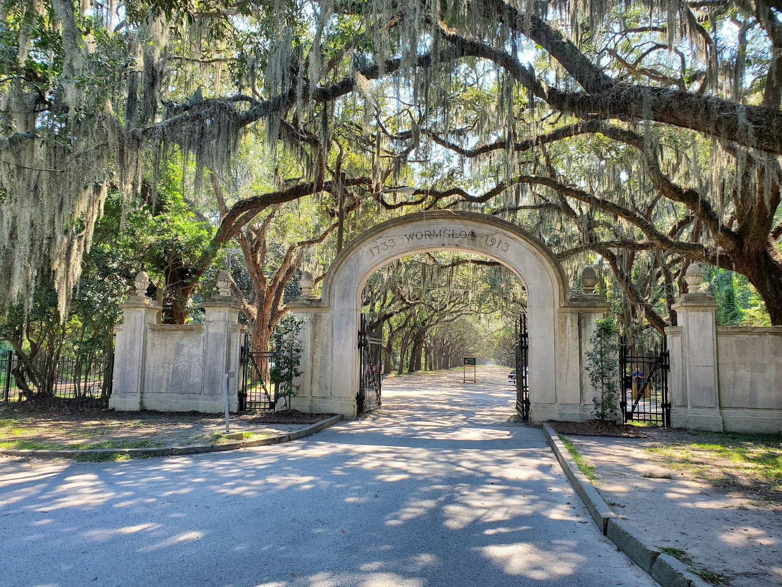 Spanish moss glowing in backlight along the oak avenue at Wormsloe, Savannah Georgia