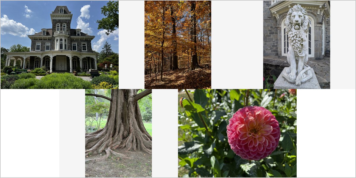 Cylburn Arboretum: A Season-by-Season Photography Guide