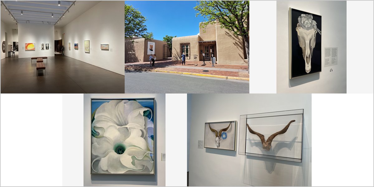 The Georgia O’Keeffe Museum: Who This Venue Suits