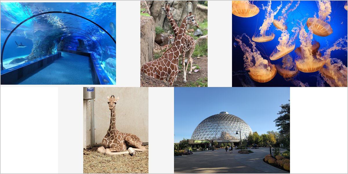 The Henry Doorly Zoo: A Photographer Answers Your Questions