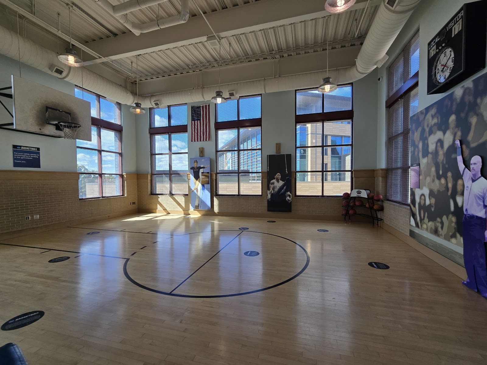 Clean neutral daylight from a large glazed wall in a museum