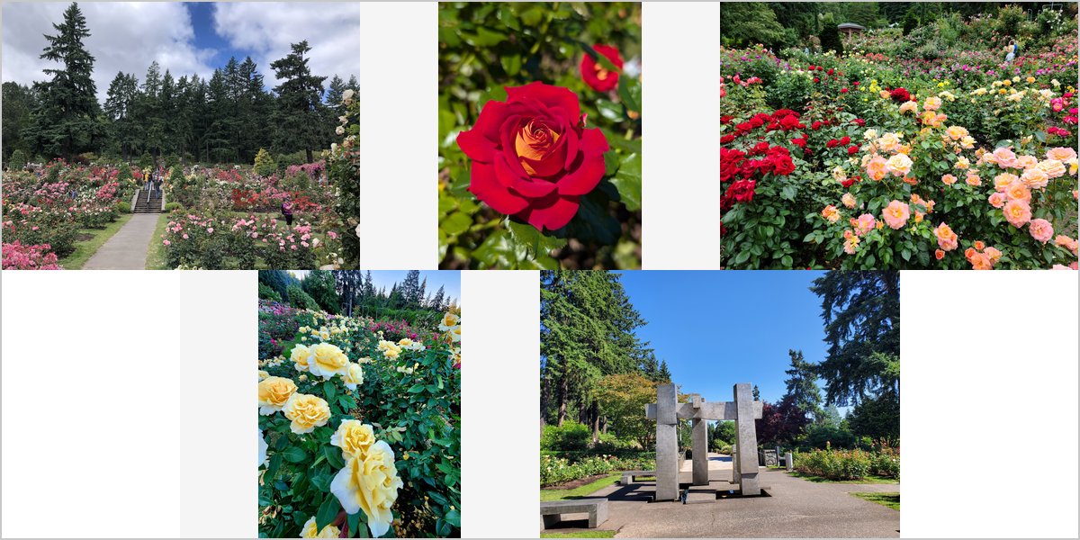 Rose Test Garden Weddings: A Photographer Answers the Real Questions