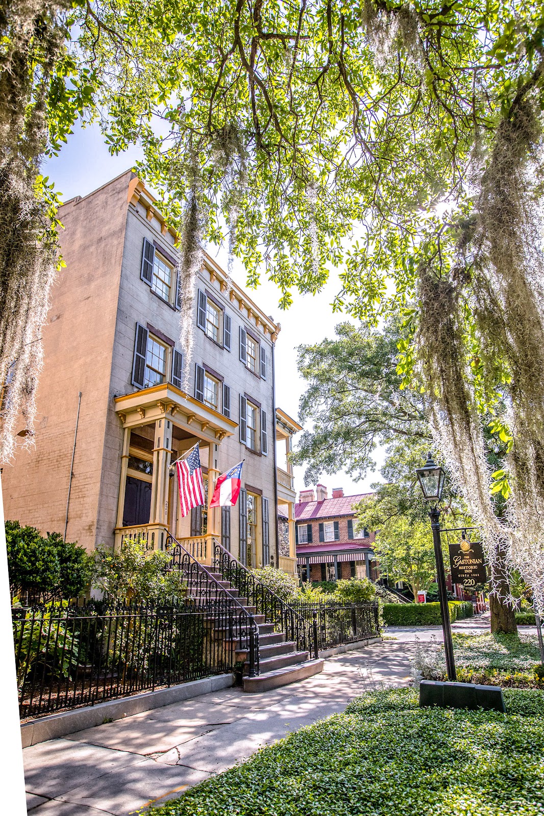 Backlit Spanish moss and live oaks on a Savannah square near Gaston Street