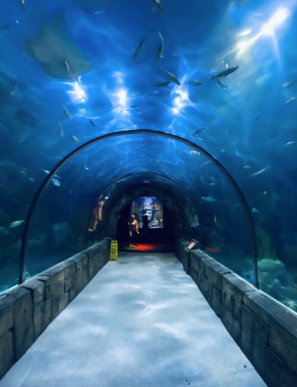 Walk-through Gulf of Mexico tunnel with water overhead at the Audubon Aquarium, New Orleans