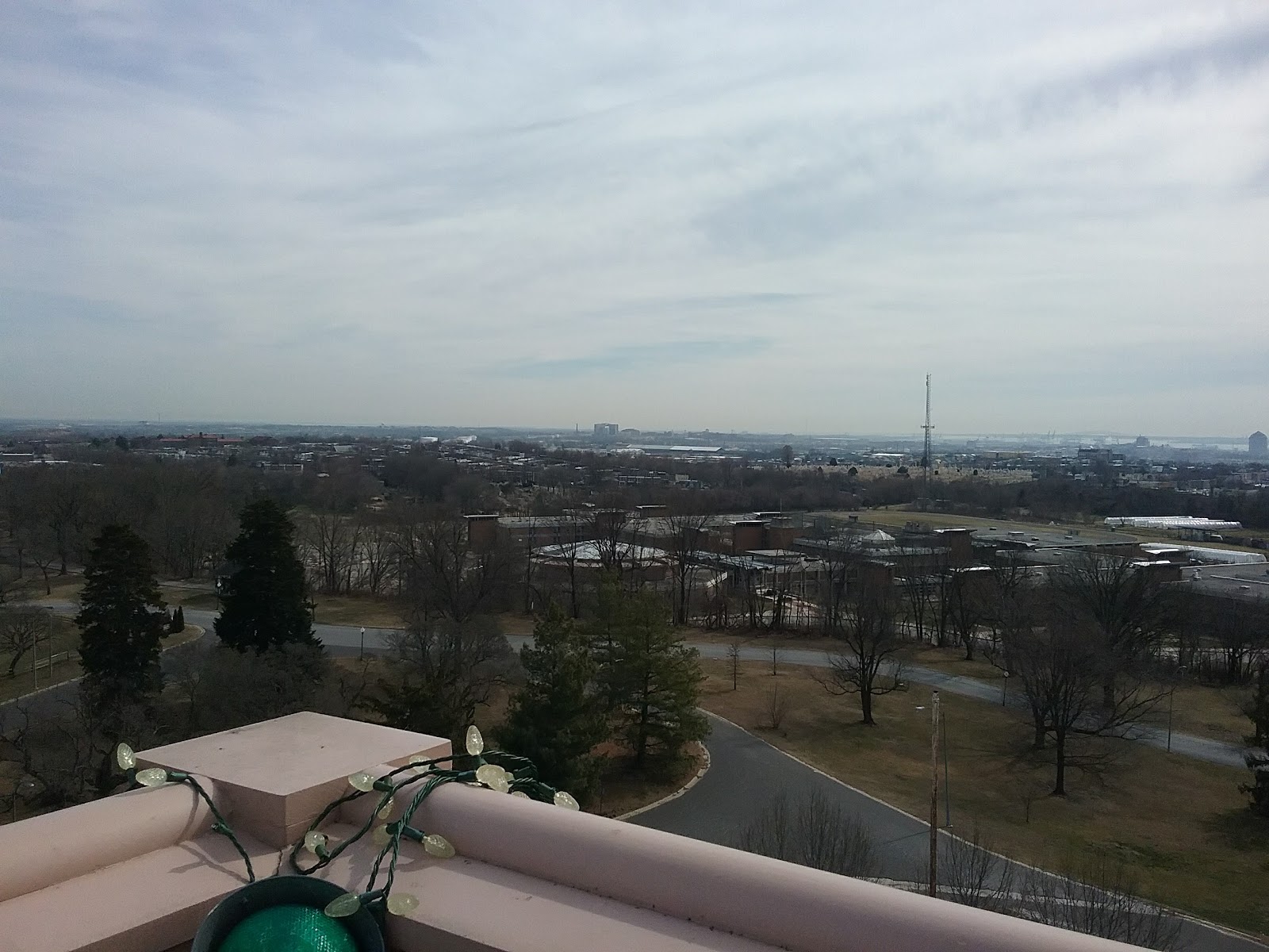 Mature specimen trees and open lawn in Clifton Park, Baltimore, for wedding group photographs