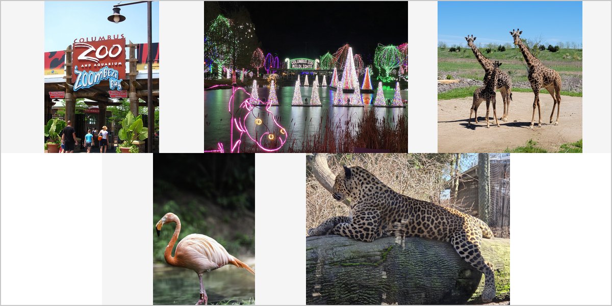 The Columbus Zoo Wedding Venue Collage