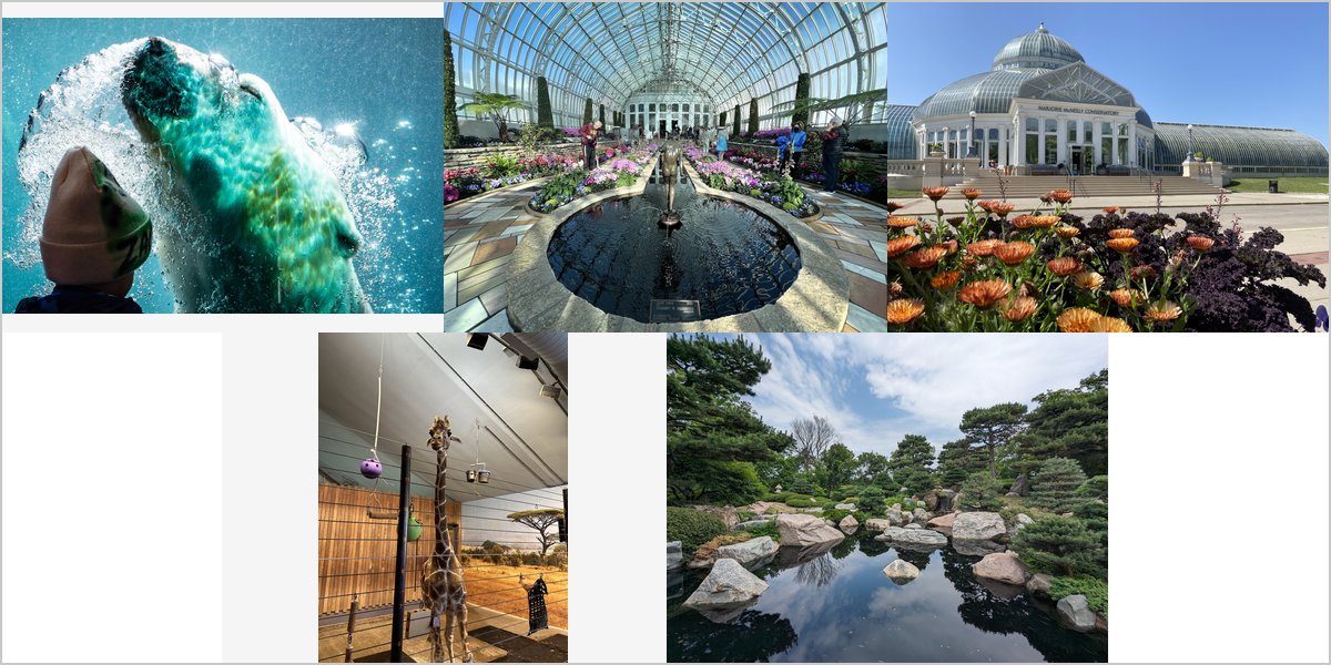 The Como Park Zoo & Conservatory Wedding Venue Collage