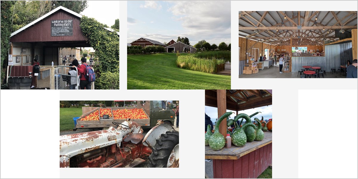 The Farm at Swan's Crossing Wedding Venue Collage