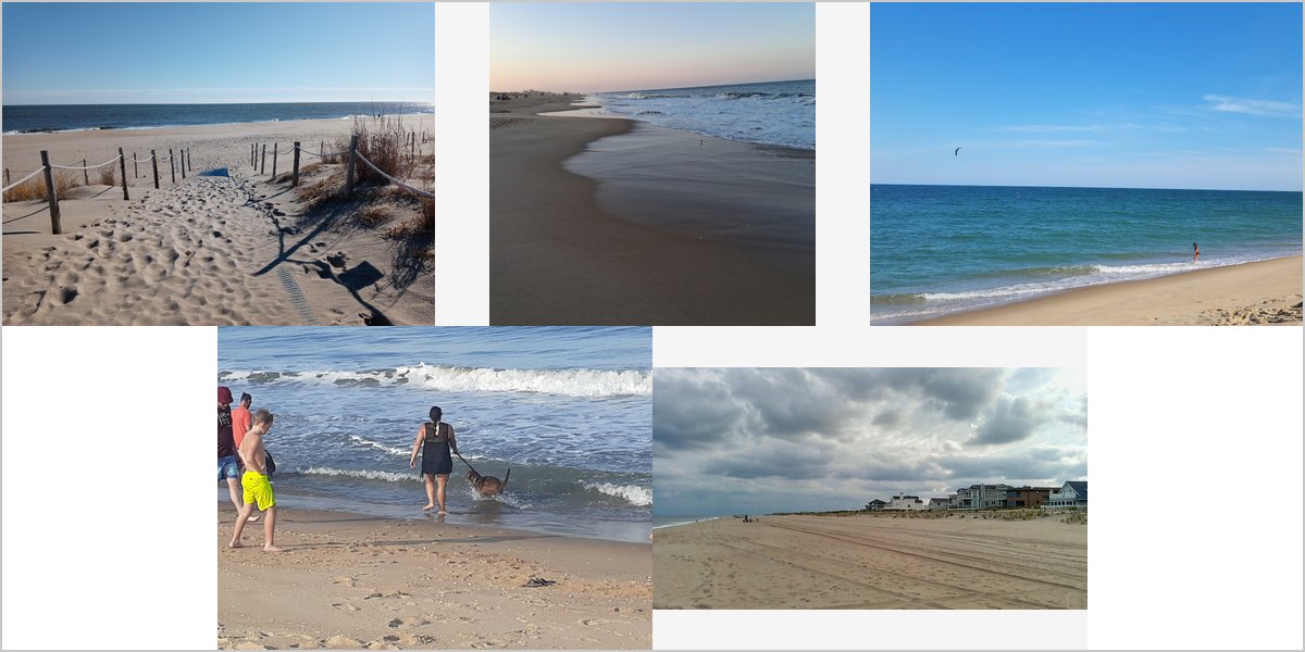 The Fenwick Island State Park Wedding Venue Collage