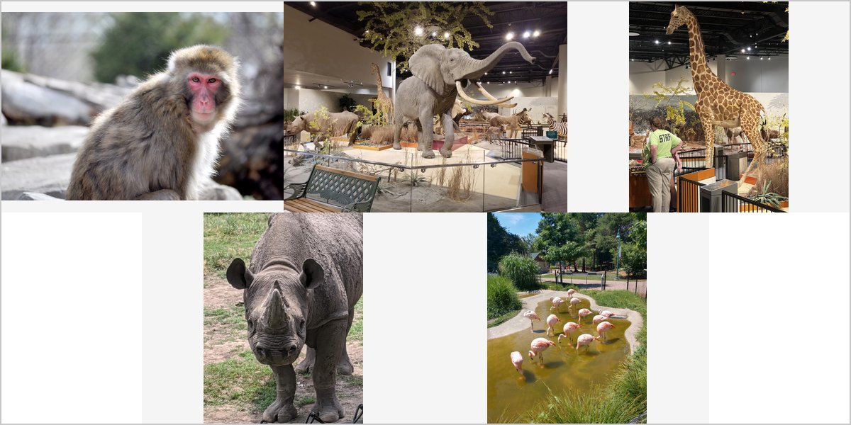 The Great Plains Zoo Wedding Venue Collage