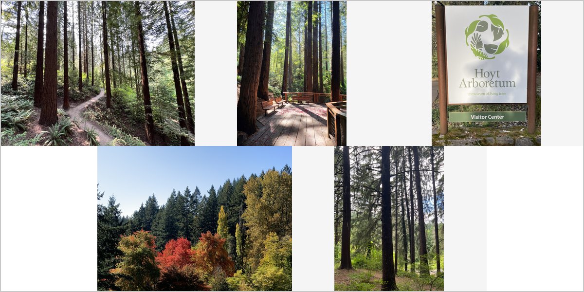 The Hoyt Arboretum Wedding Venue Collage