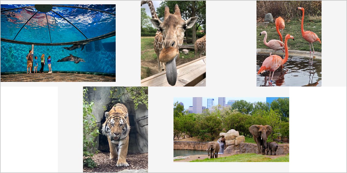 The Indianapolis Zoo Wedding Venue Collage