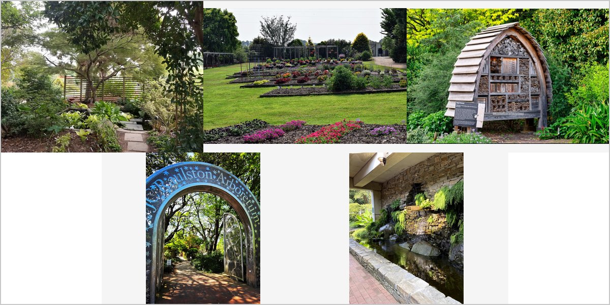 The JC Raulston Arboretum Wedding Venue Collage