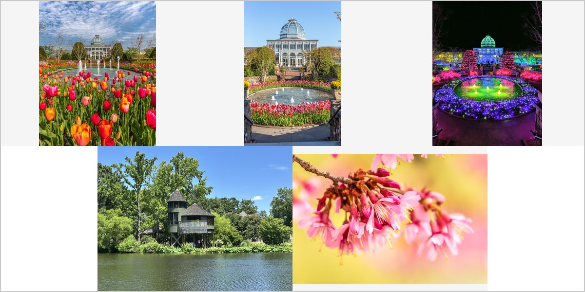 The Lewis Ginter Botanical Garden Wedding Venue Collage