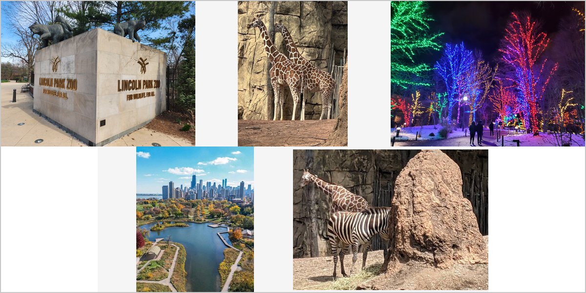 The Lincoln Park Zoo Wedding Venue Collage