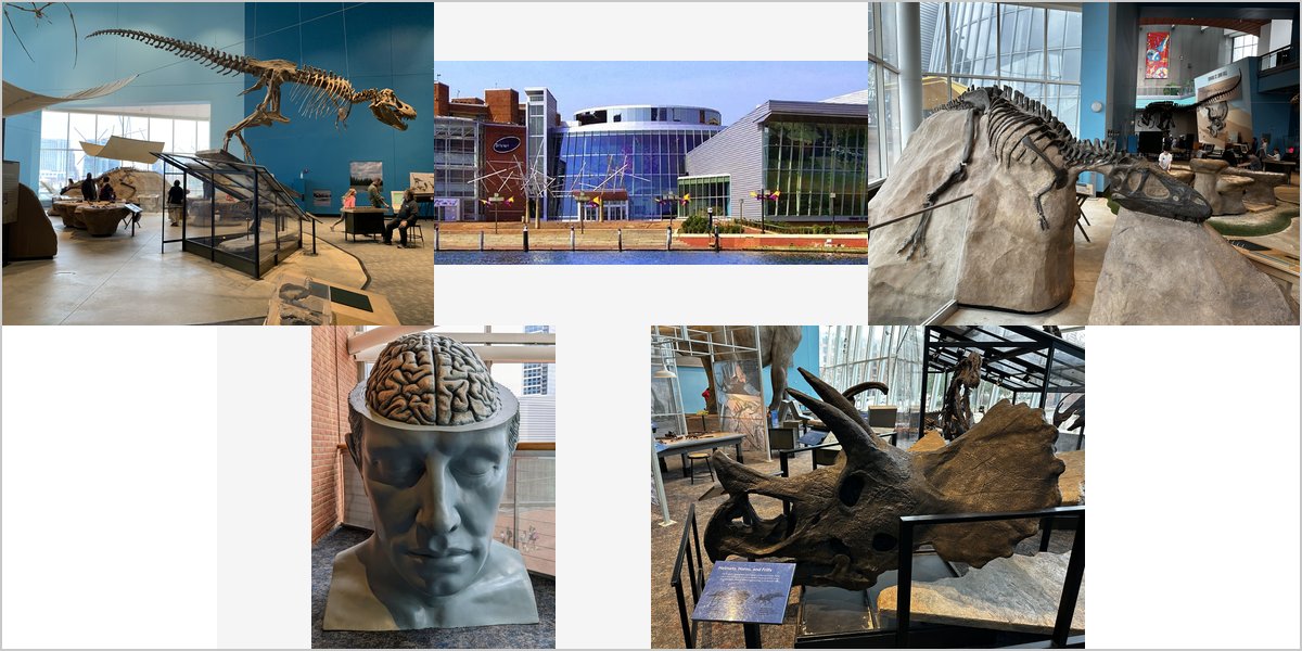 The Maryland Science Center Wedding Venue Collage