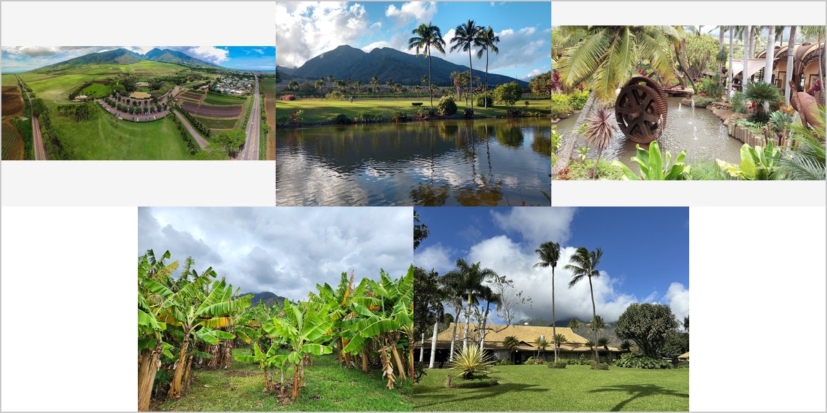 The Maui Tropical Plantation Wedding Venue Collage