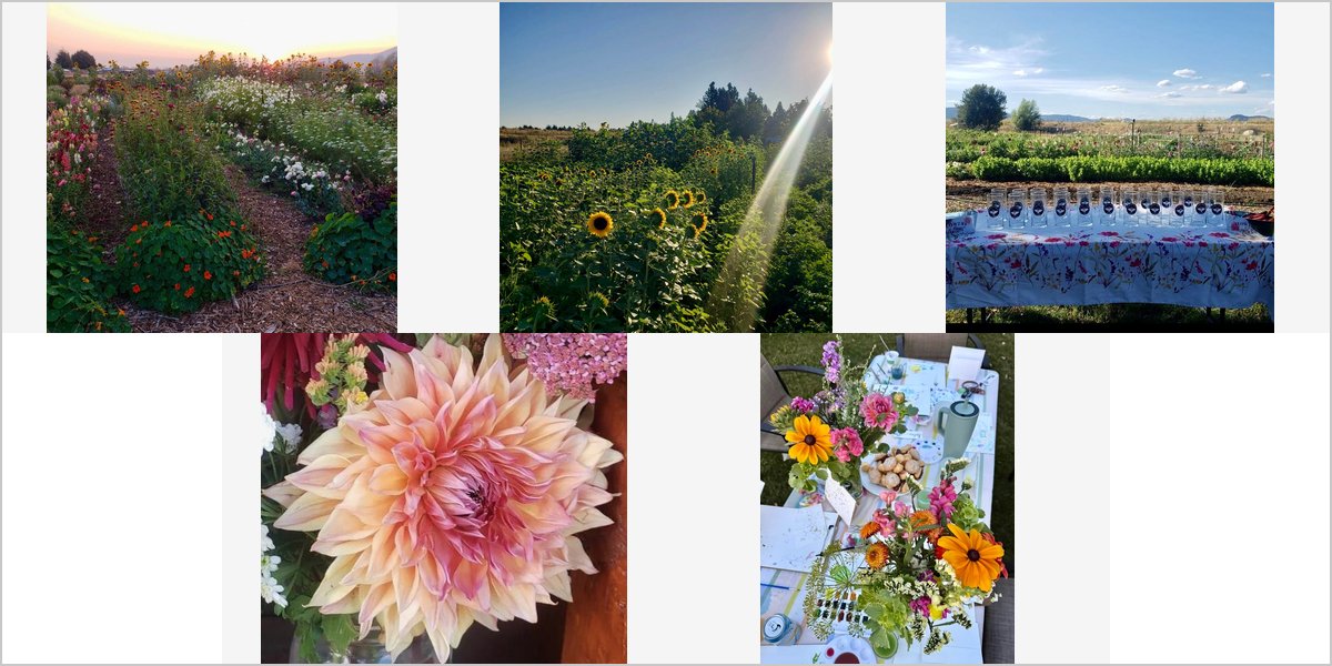 The MeadowLake Farm Wedding Venue Collage