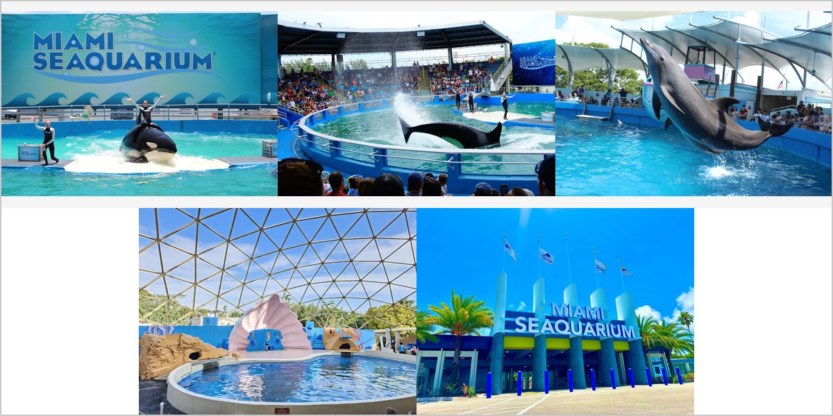 The Miami Seaquarium Wedding Venue Collage