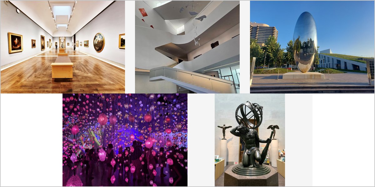 The Museum of Fine Arts Houston Wedding Venue Collage