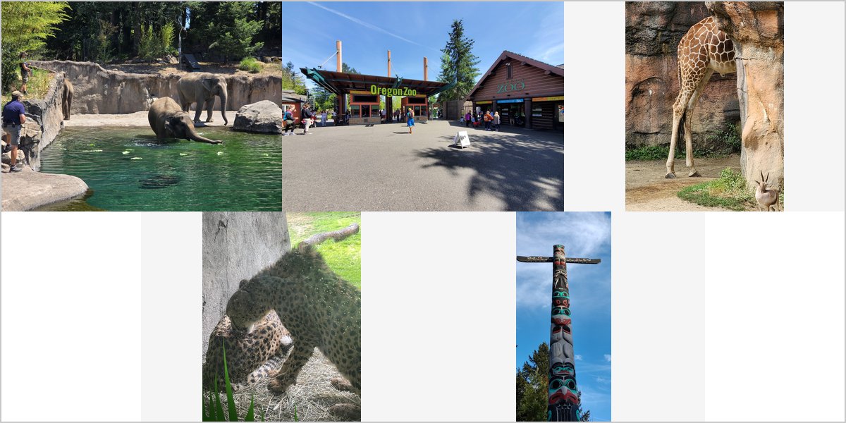 The Oregon Zoo Wedding Venue Collage