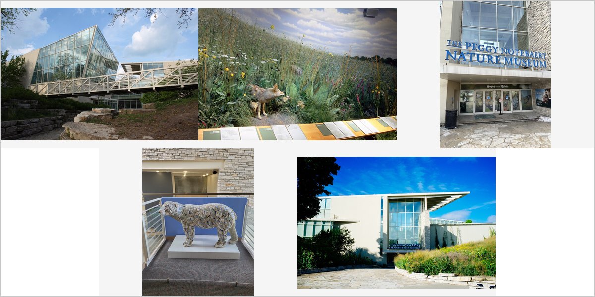 The Peggy Notebaert Nature Museum Wedding Venue Collage