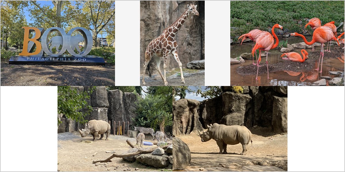 The Philadelphia Zoo Wedding Venue Collage