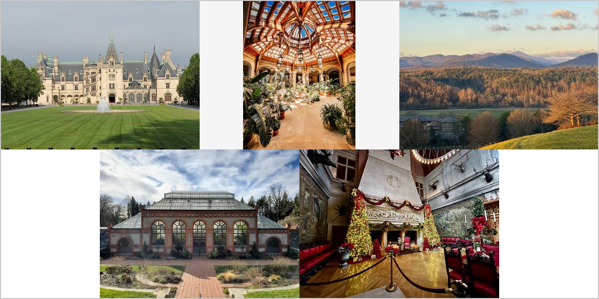 The Biltmore Estate Wedding Venue Collage