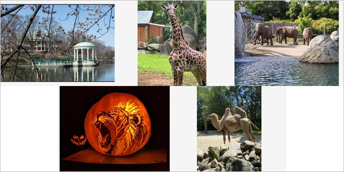 The Roger Williams Park Zoo Wedding Venue Collage