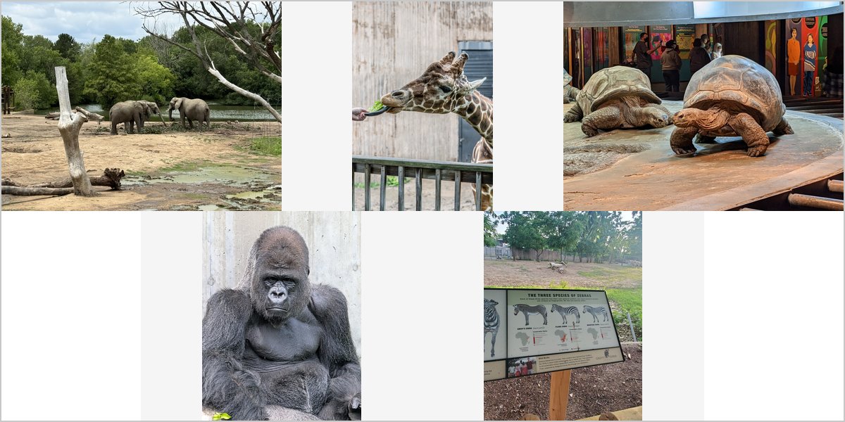 The Sedgwick County Zoo Wedding Venue Collage