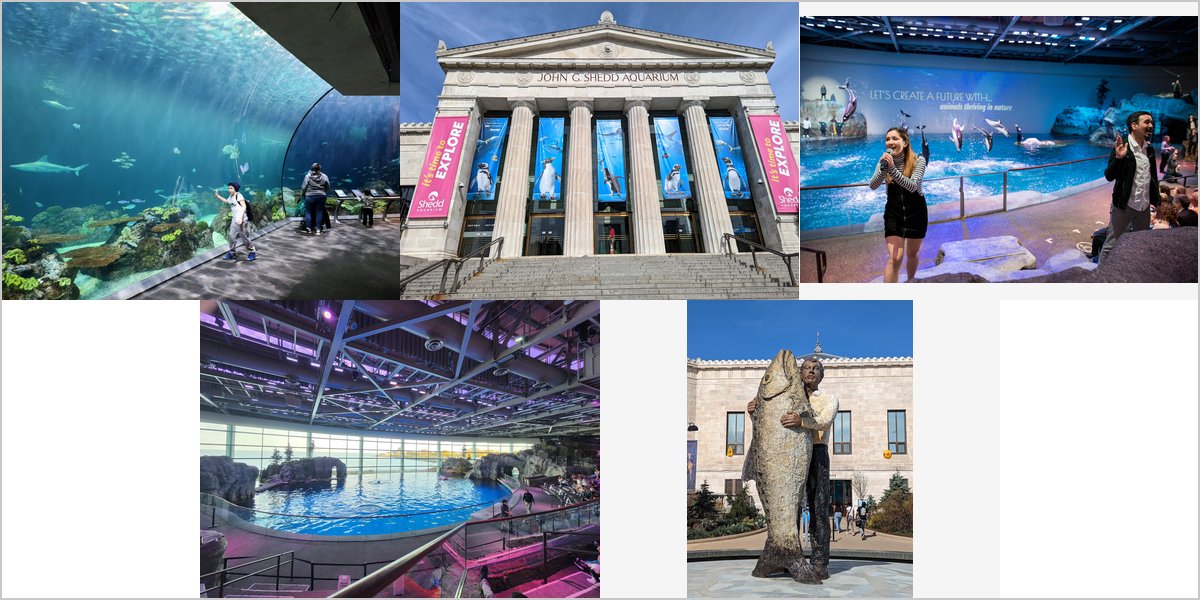 The Shedd Aquarium Wedding Venue Collage