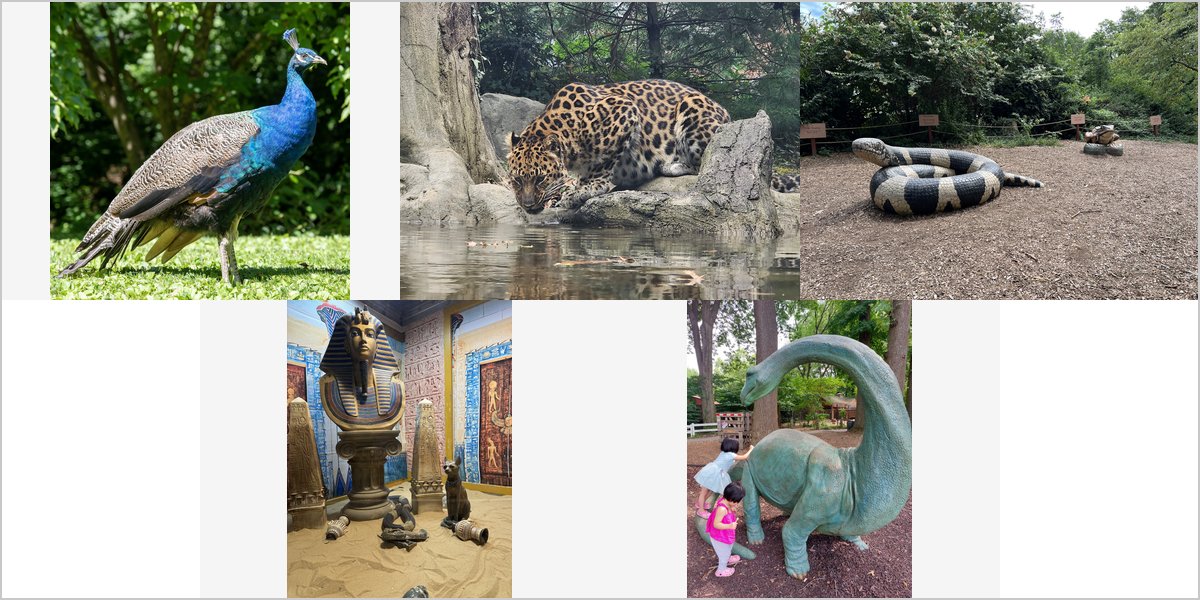 The Staten Island Zoo Wedding Venue Collage