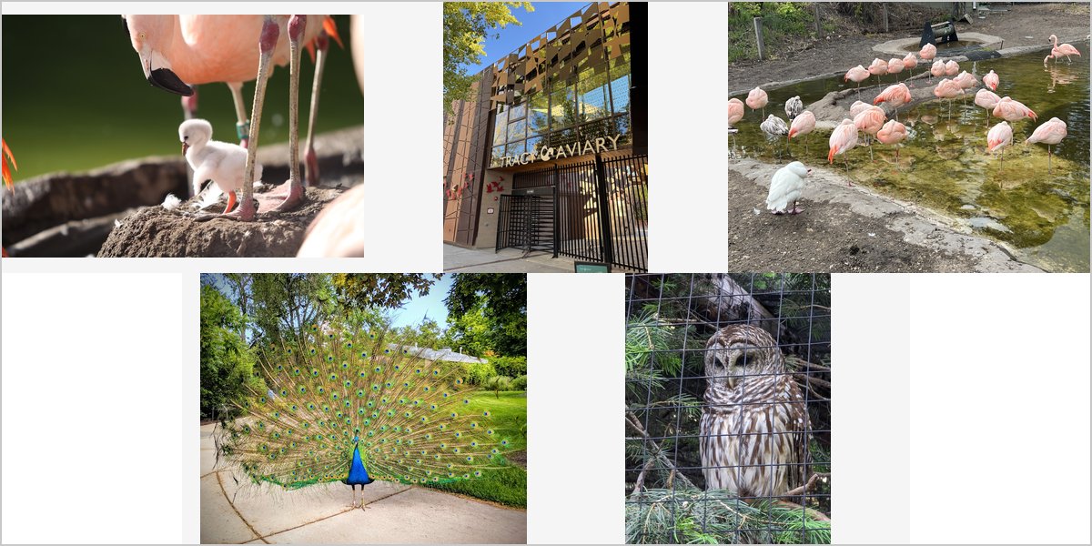 The Tracy Aviary Wedding Venue Collage