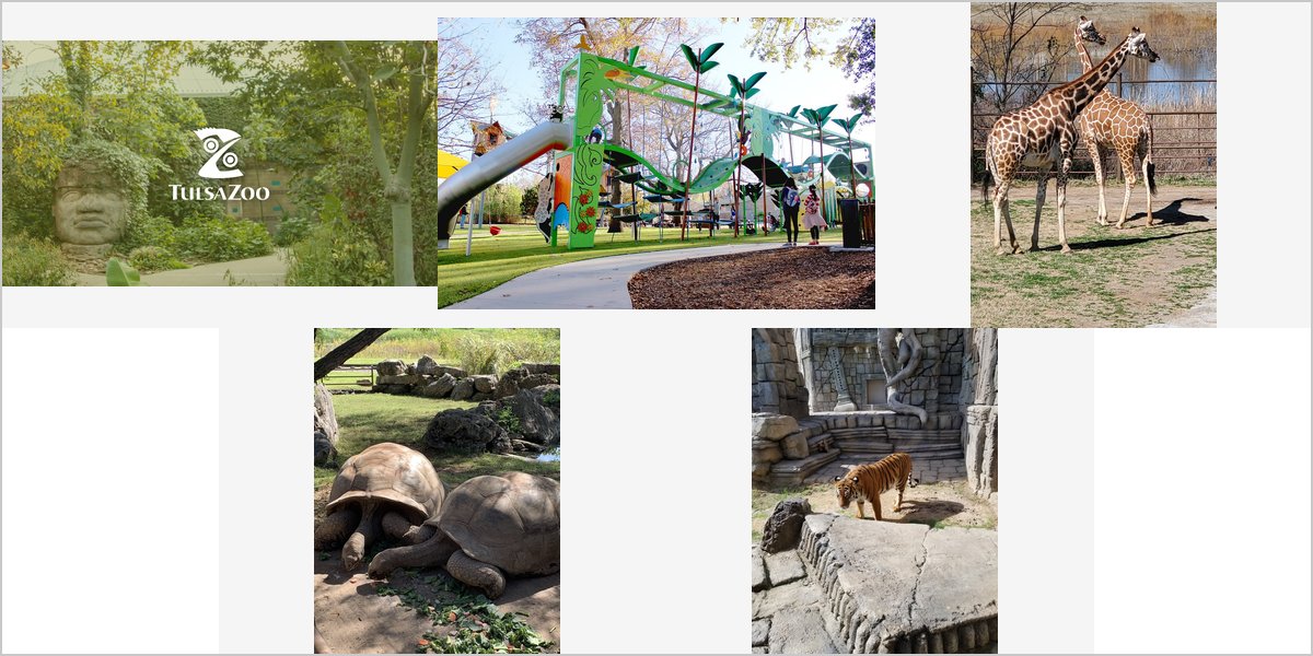 The Tulsa Zoo Wedding Venue Collage