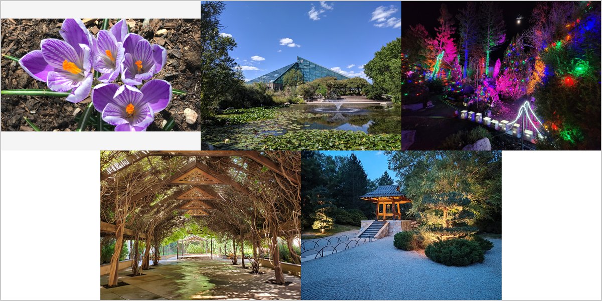 The Botanical Garden Wedding Venue Collage