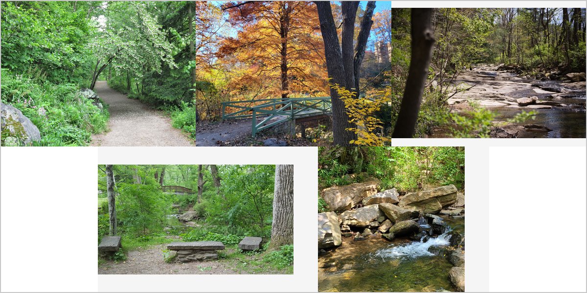 The Botanical Gardens at Asheville Wedding Venue Collage