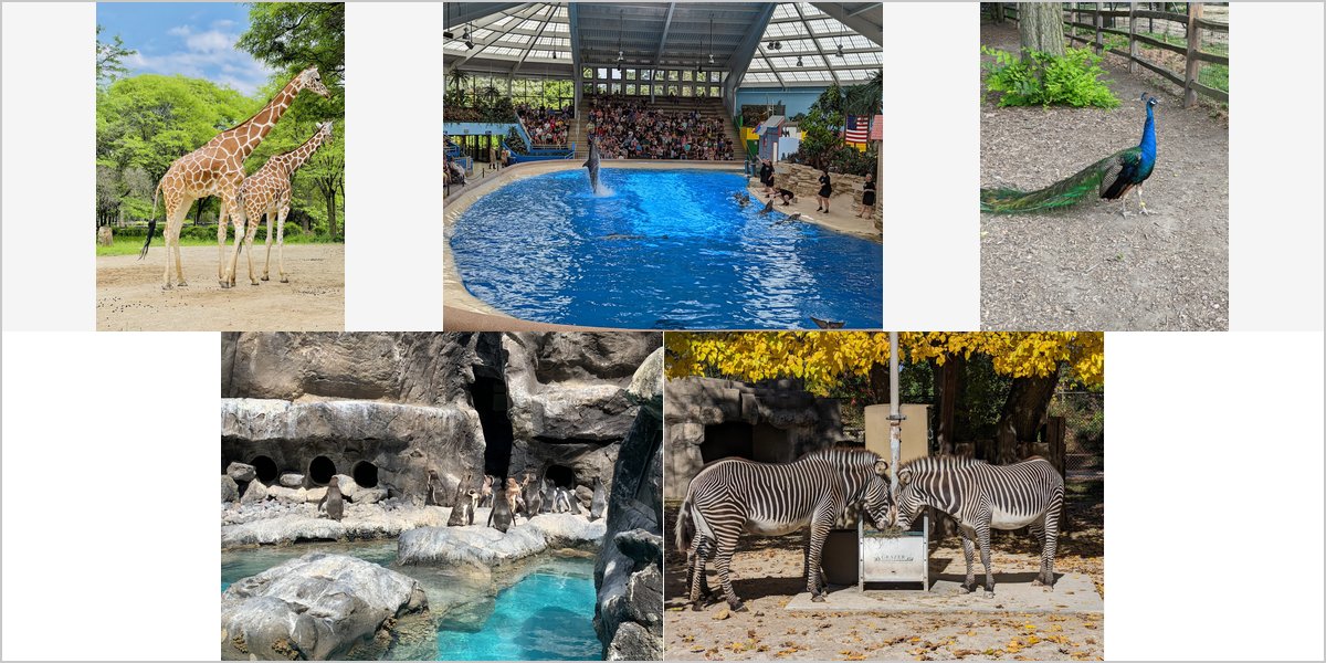 The Brookfield Zoo Wedding Venue Collage