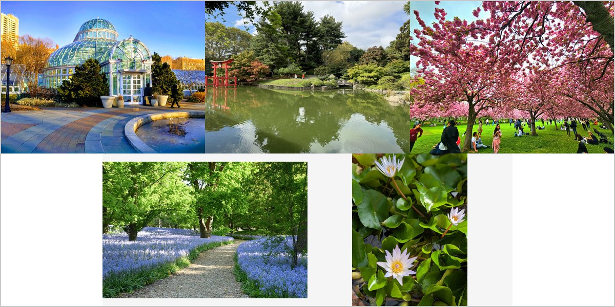 The Brooklyn Botanic Garden Wedding Venue Collage