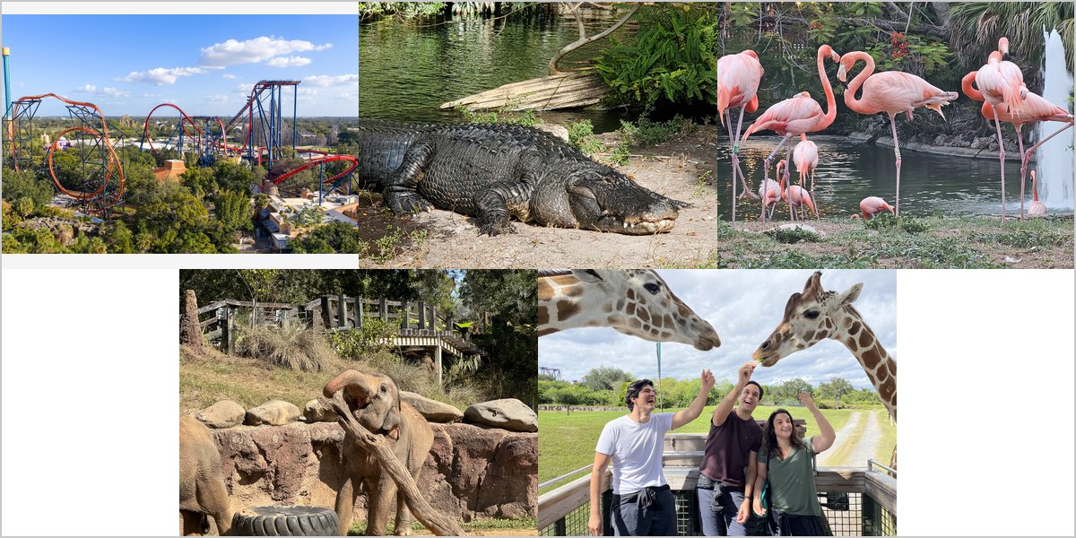 The Busch Gardens Tampa Bay Wedding Venue Collage