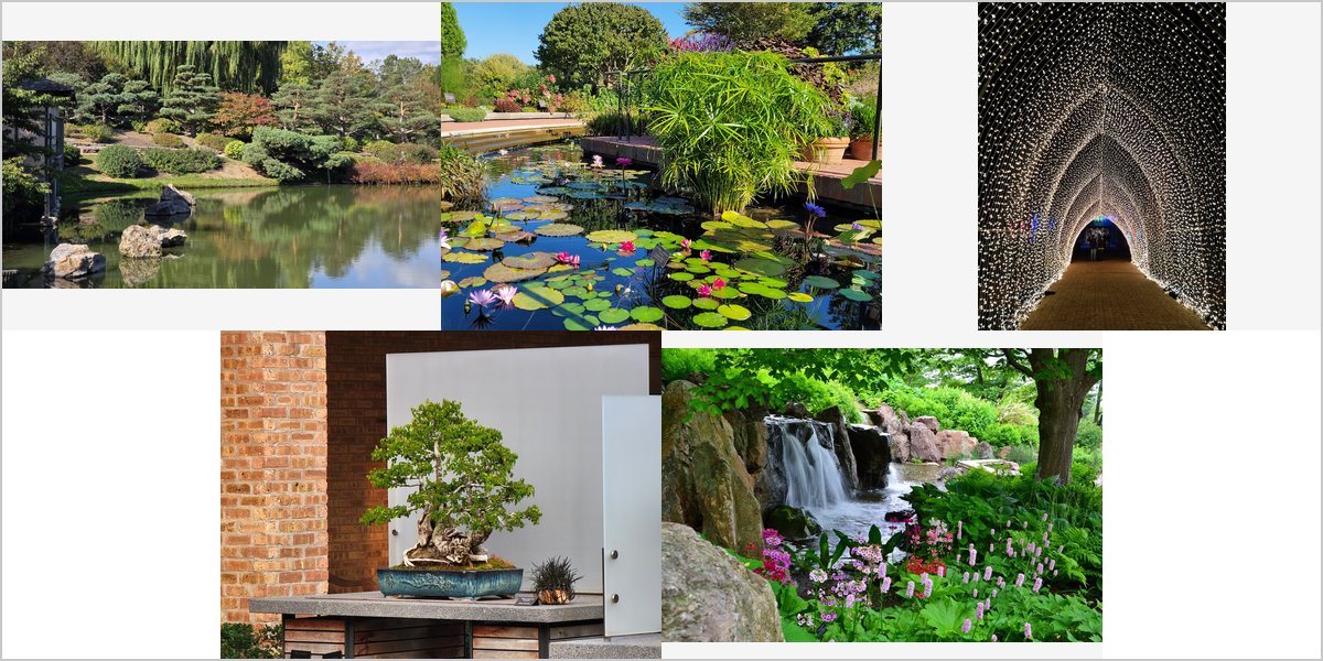 The Chicago Botanic Garden Wedding Venue Collage